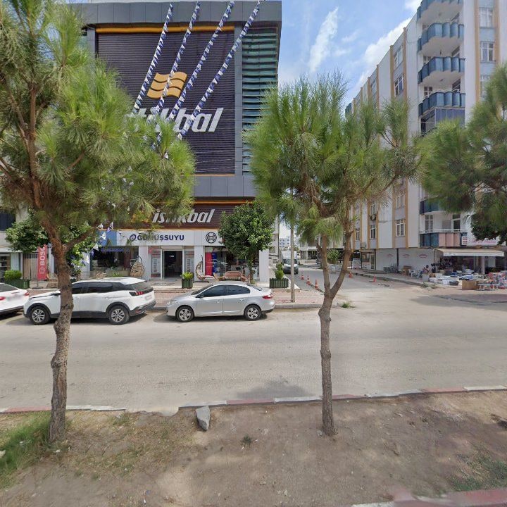 Fotoğraf 7