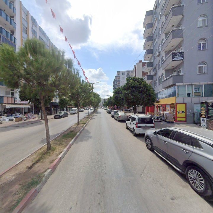 Fotoğraf 8