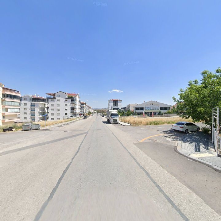 Fotoğraf 10