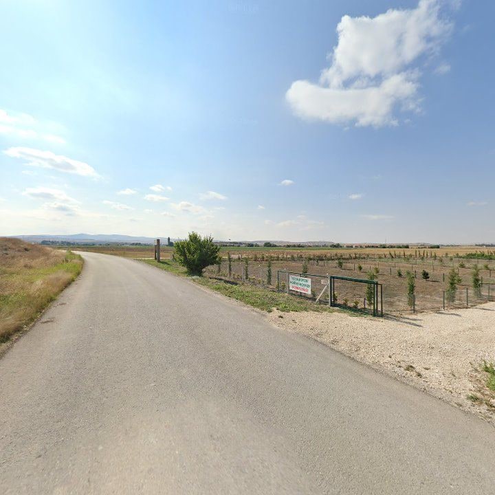 Fotoğraf 9