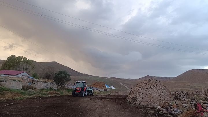 Yeşil Öz