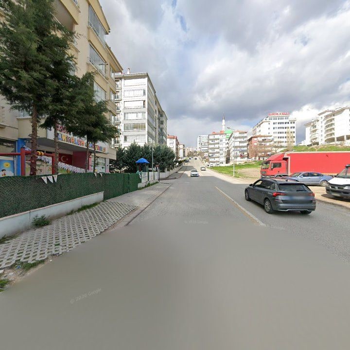 Fotoğraf 8
