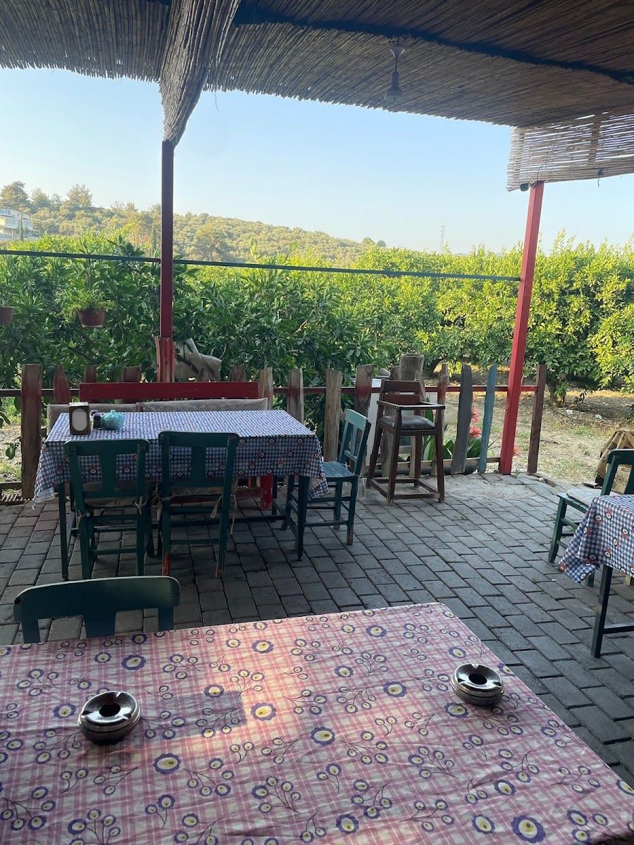 Yeşil Vadi Fatma Ablanın Yeri