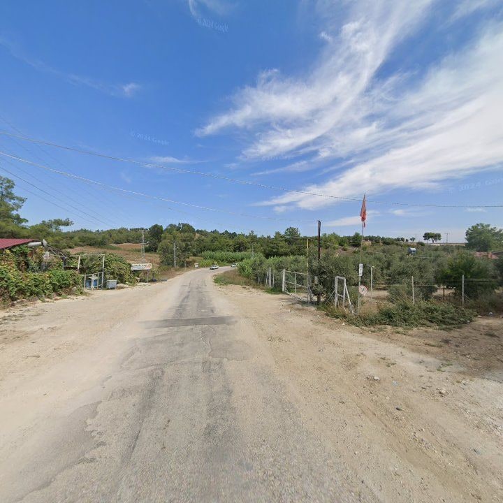 Fotoğraf 6