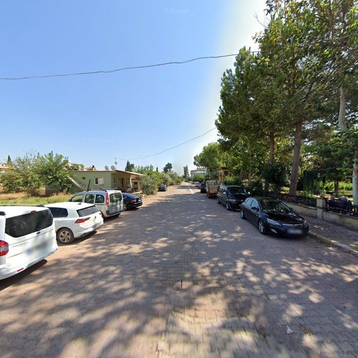 Fotoğraf 4