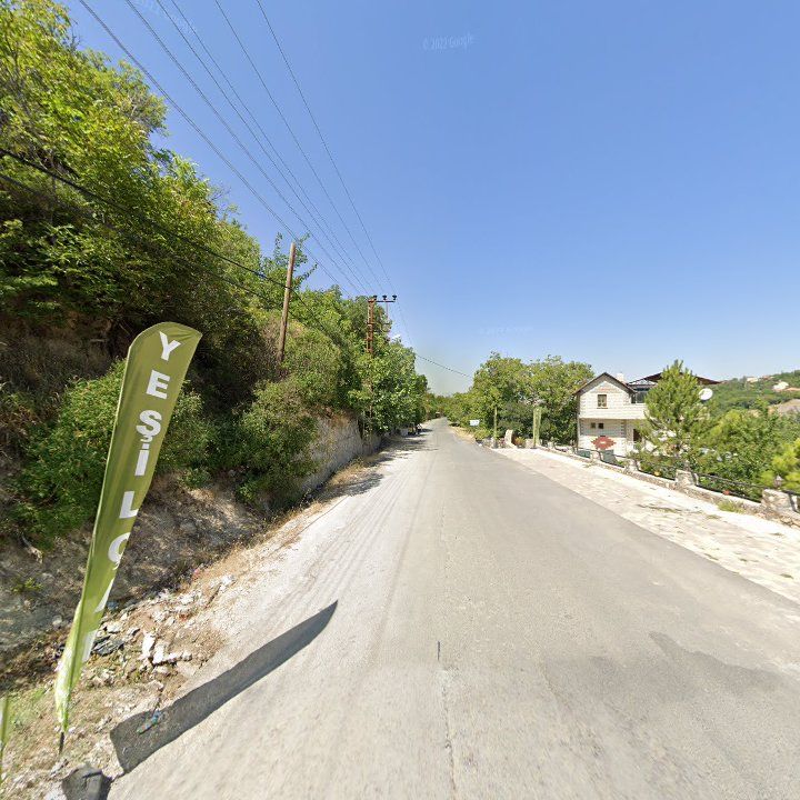 Fotoğraf 9
