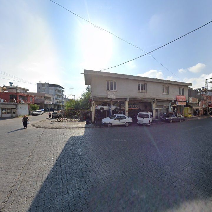 Fotoğraf 7