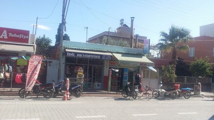Yeşilevler Közde Döner Salonu