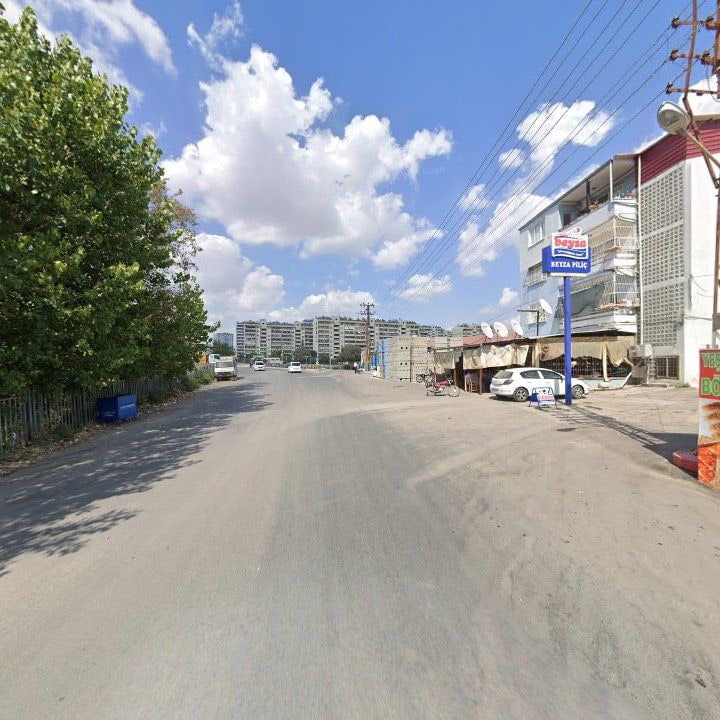 Fotoğraf 7