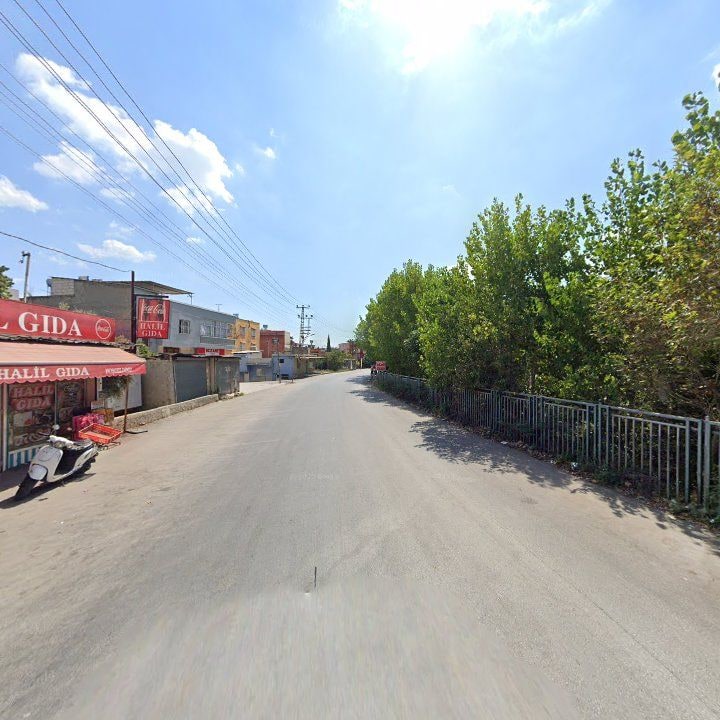 Fotoğraf 5