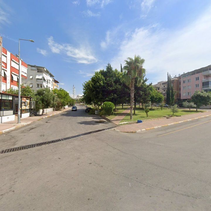 Fotoğraf 7