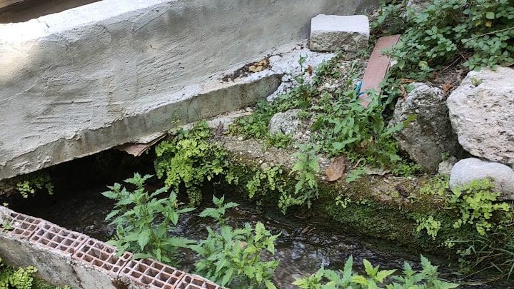 Yeşilvadi Alabalık Çiftliği Ve Piknik Alanı