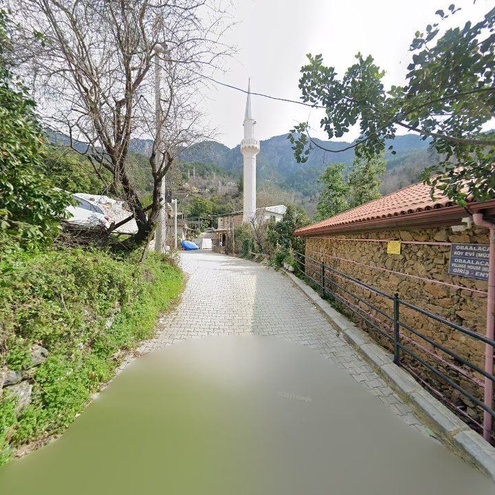 Fotoğraf 9