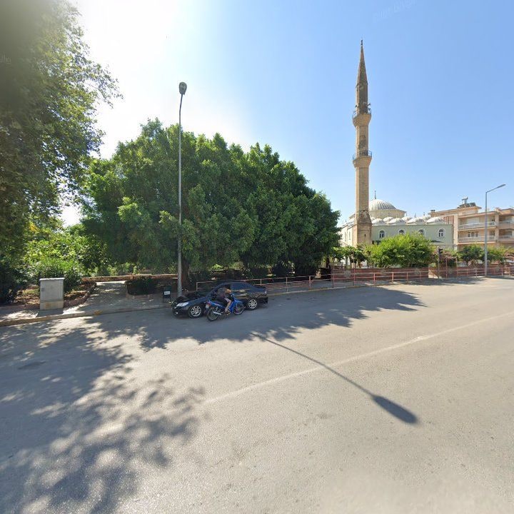Fotoğraf 6
