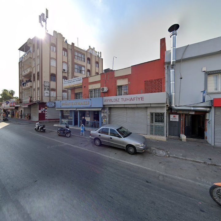 Fotoğraf 8