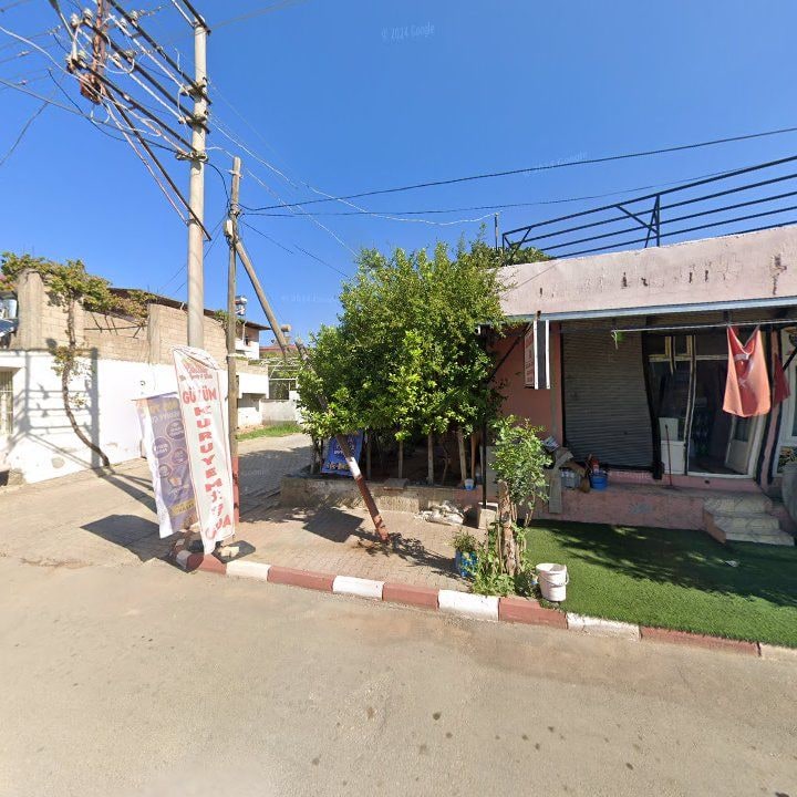 Fotoğraf 3