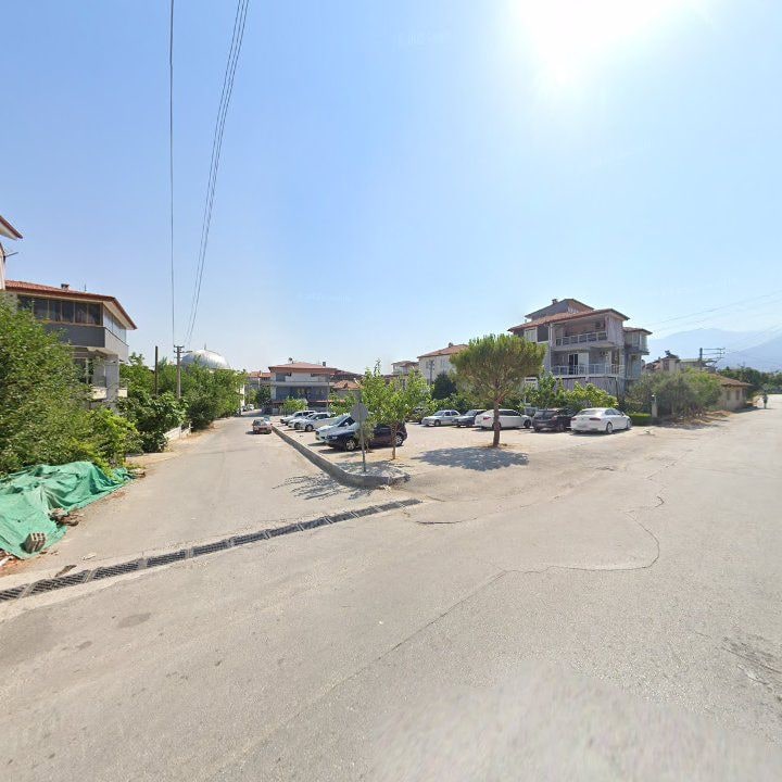 Fotoğraf 9
