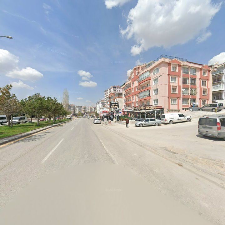 Fotoğraf 9
