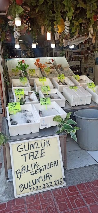 Yıldırım Balıkcısı