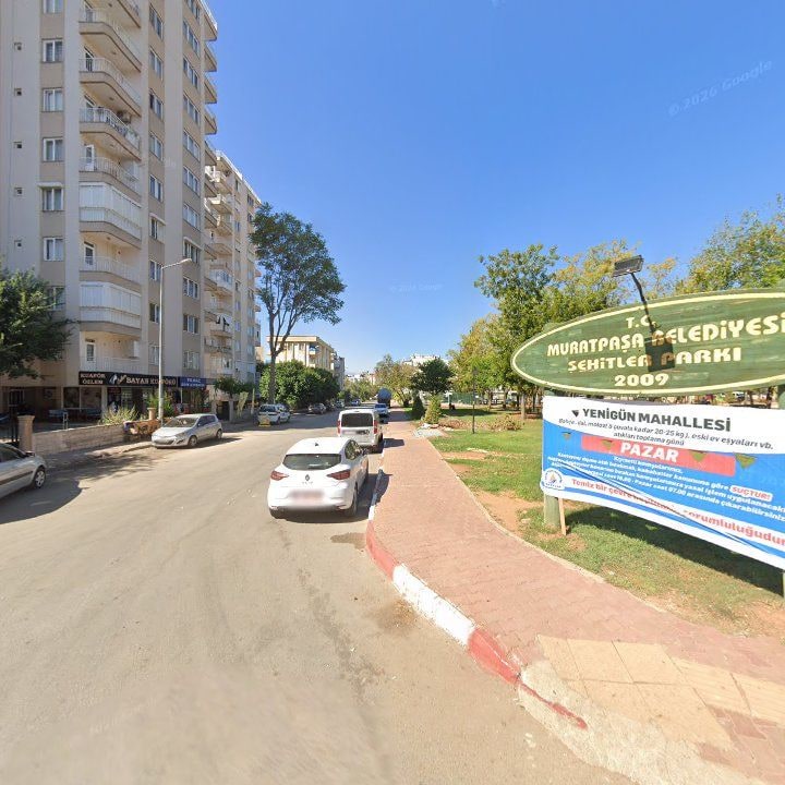 Fotoğraf 7