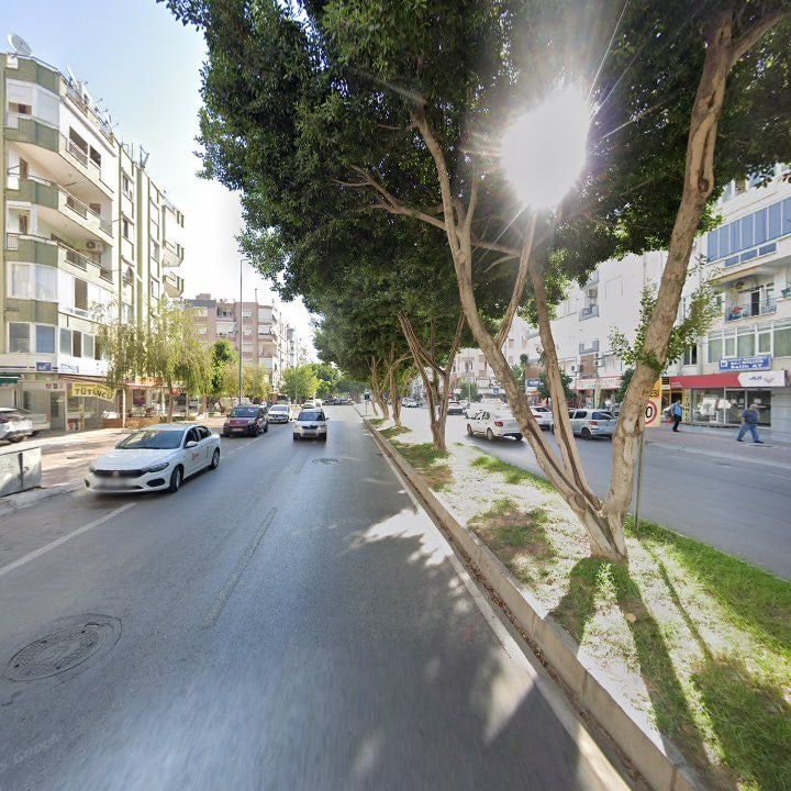 Fotoğraf 8