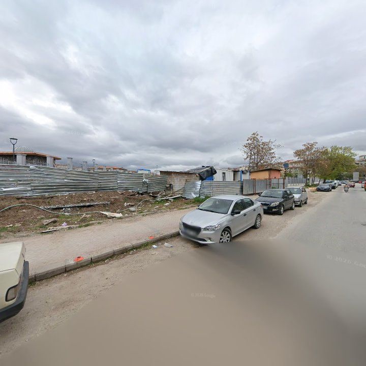 Fotoğraf 8