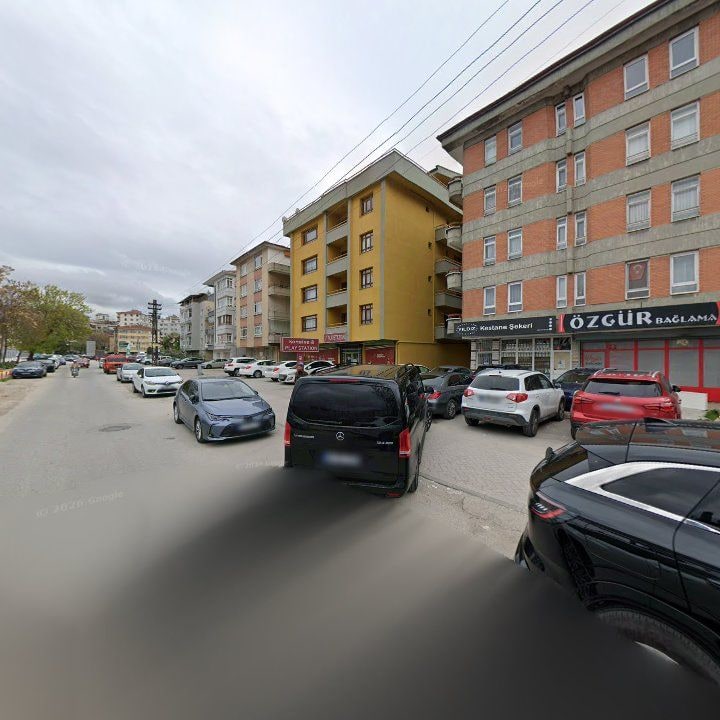 Fotoğraf 5