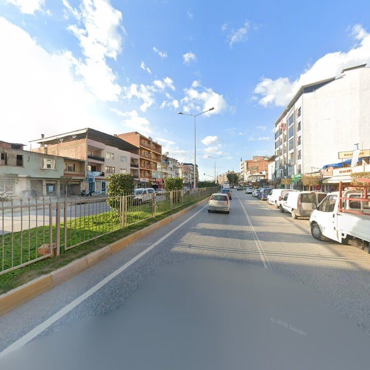 Fotoğraf 13