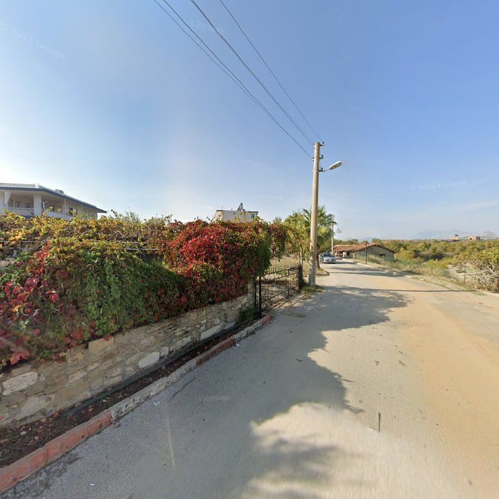 Fotoğraf 8