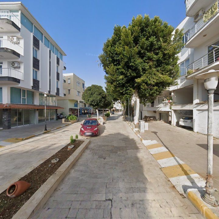 Fotoğraf 8