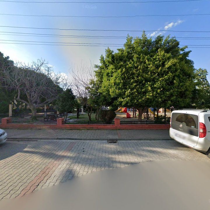 Fotoğraf 10