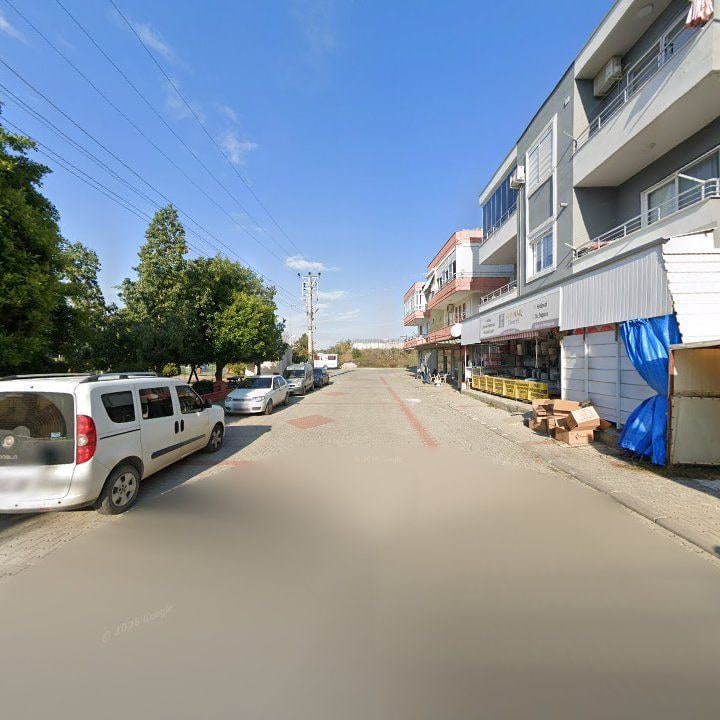 Fotoğraf 11
