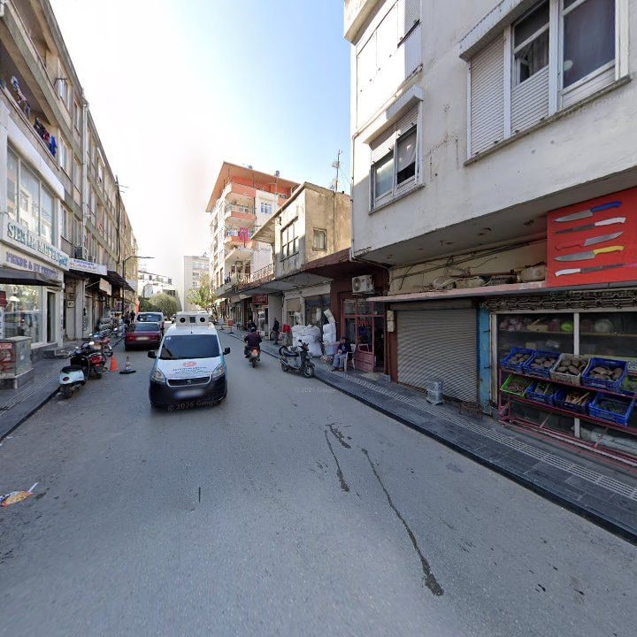 Fotoğraf 7