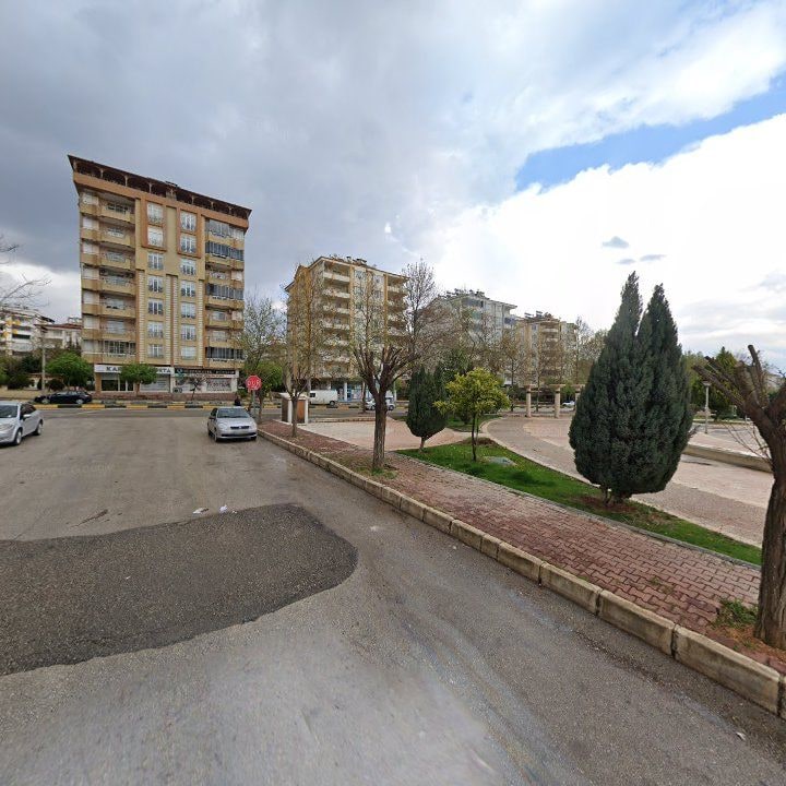 Fotoğraf 11