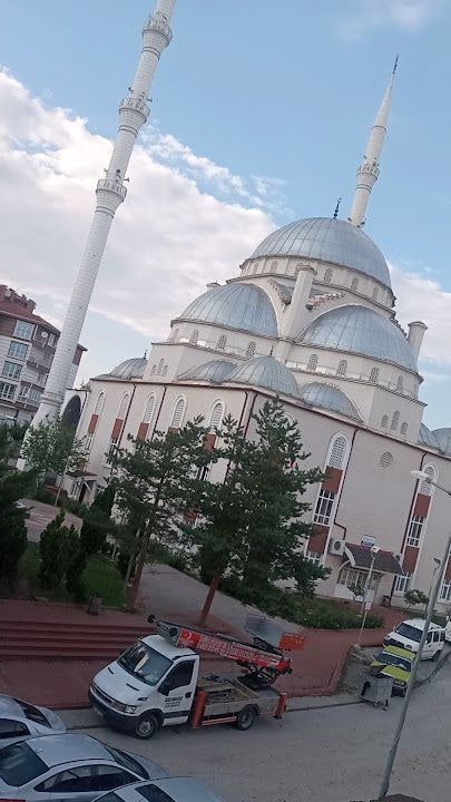 Fotoğraf 6