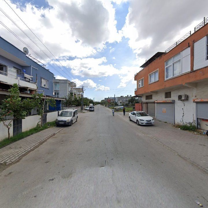 Fotoğraf 6