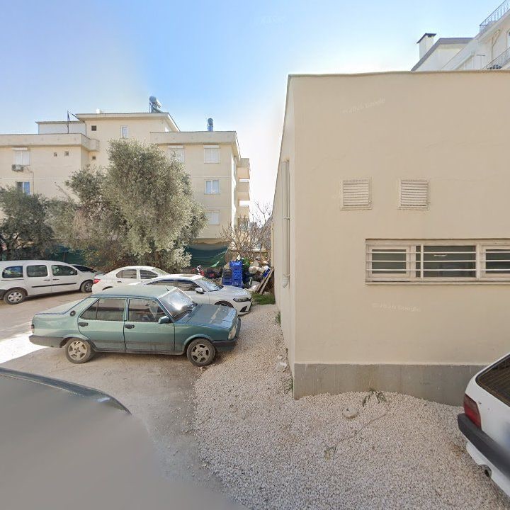 Fotoğraf 10