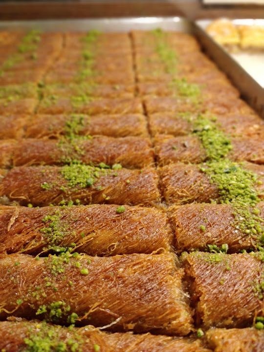 Fotoğraf 8