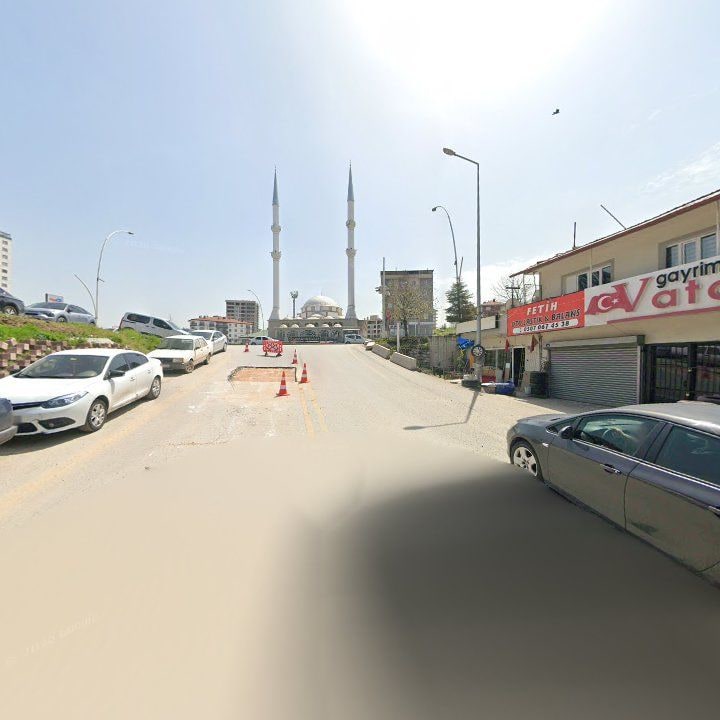 Fotoğraf 7