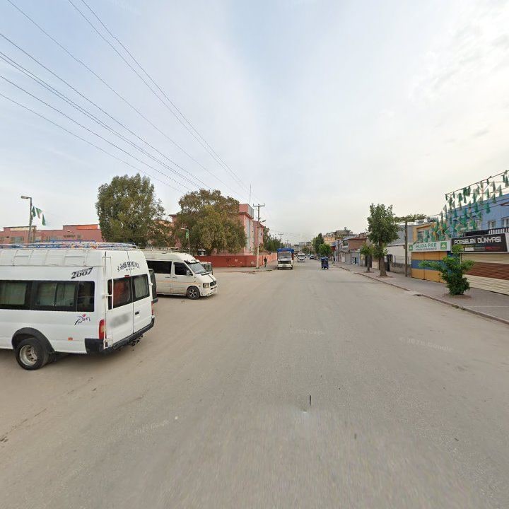 Fotoğraf 9