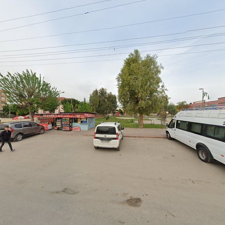 Fotoğraf 8