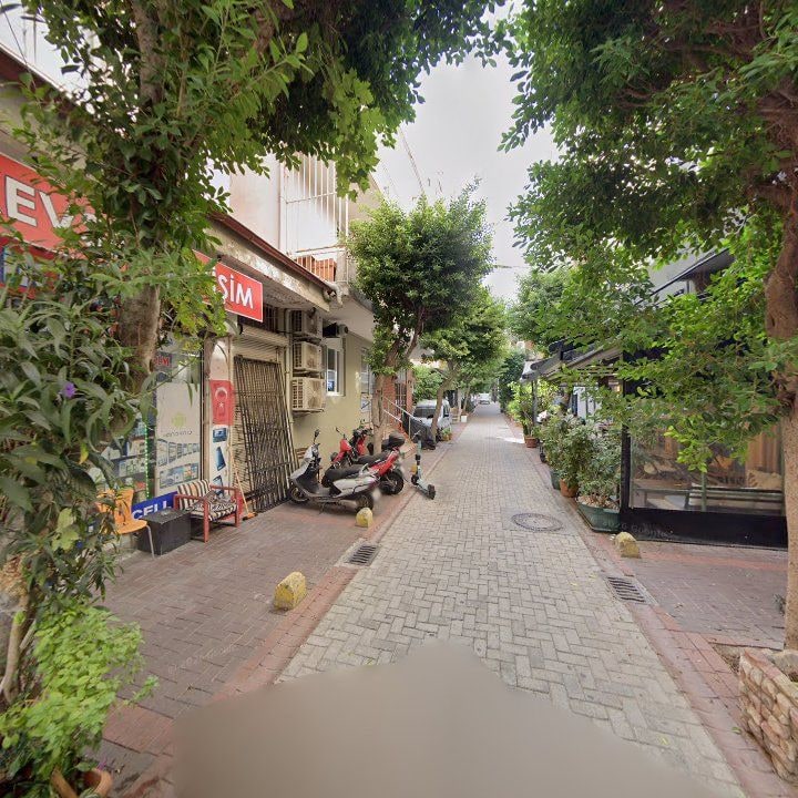 Fotoğraf 11