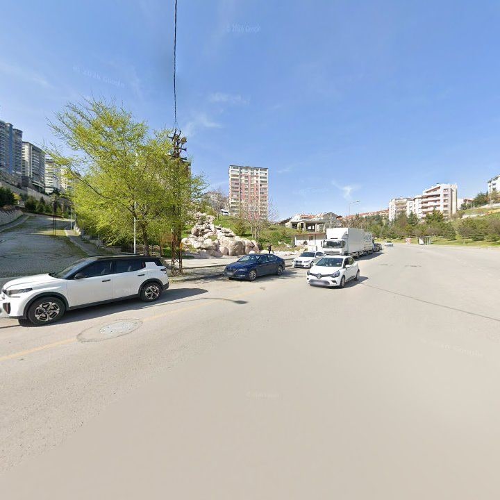 Fotoğraf 10