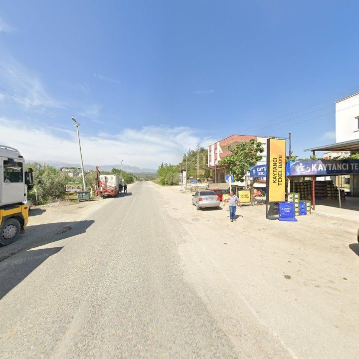 Fotoğraf 7