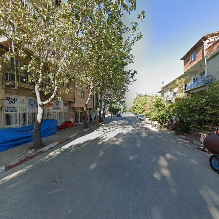 Fotoğraf 5