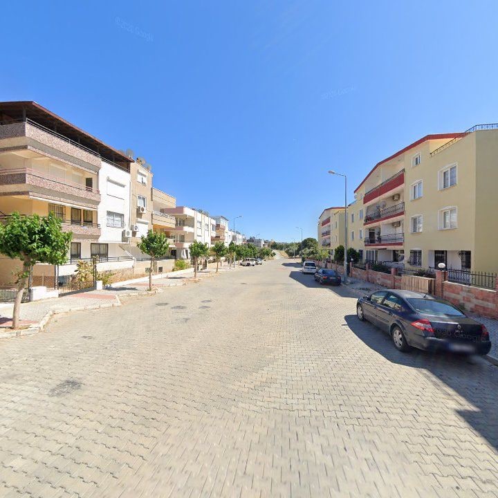 Fotoğraf 7