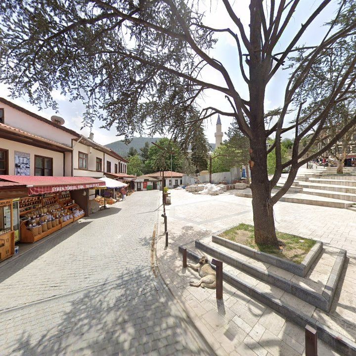 Fotoğraf 7