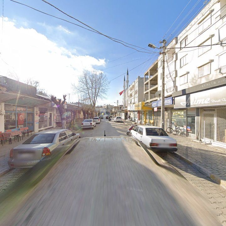 Fotoğraf 7