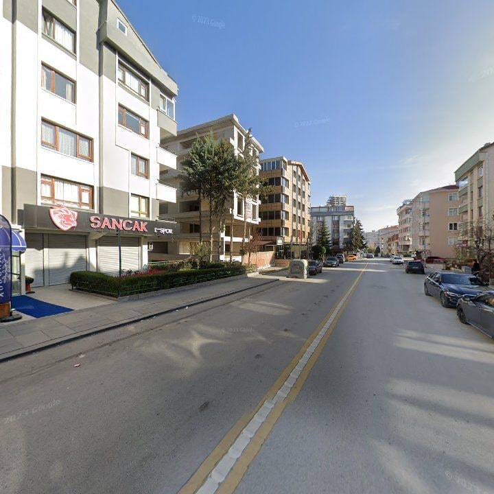 Fotoğraf 12