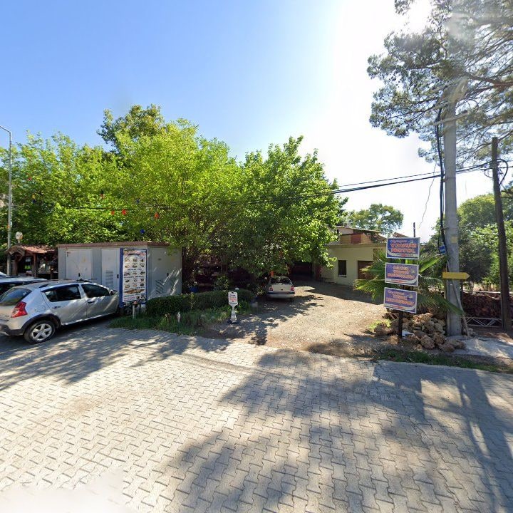 Fotoğraf 12